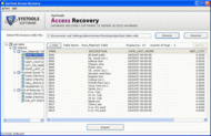 Access Recovery  Software screenshot